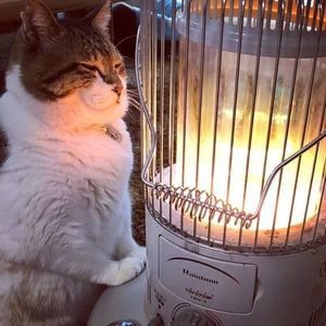 Meet your Posher, Charlene